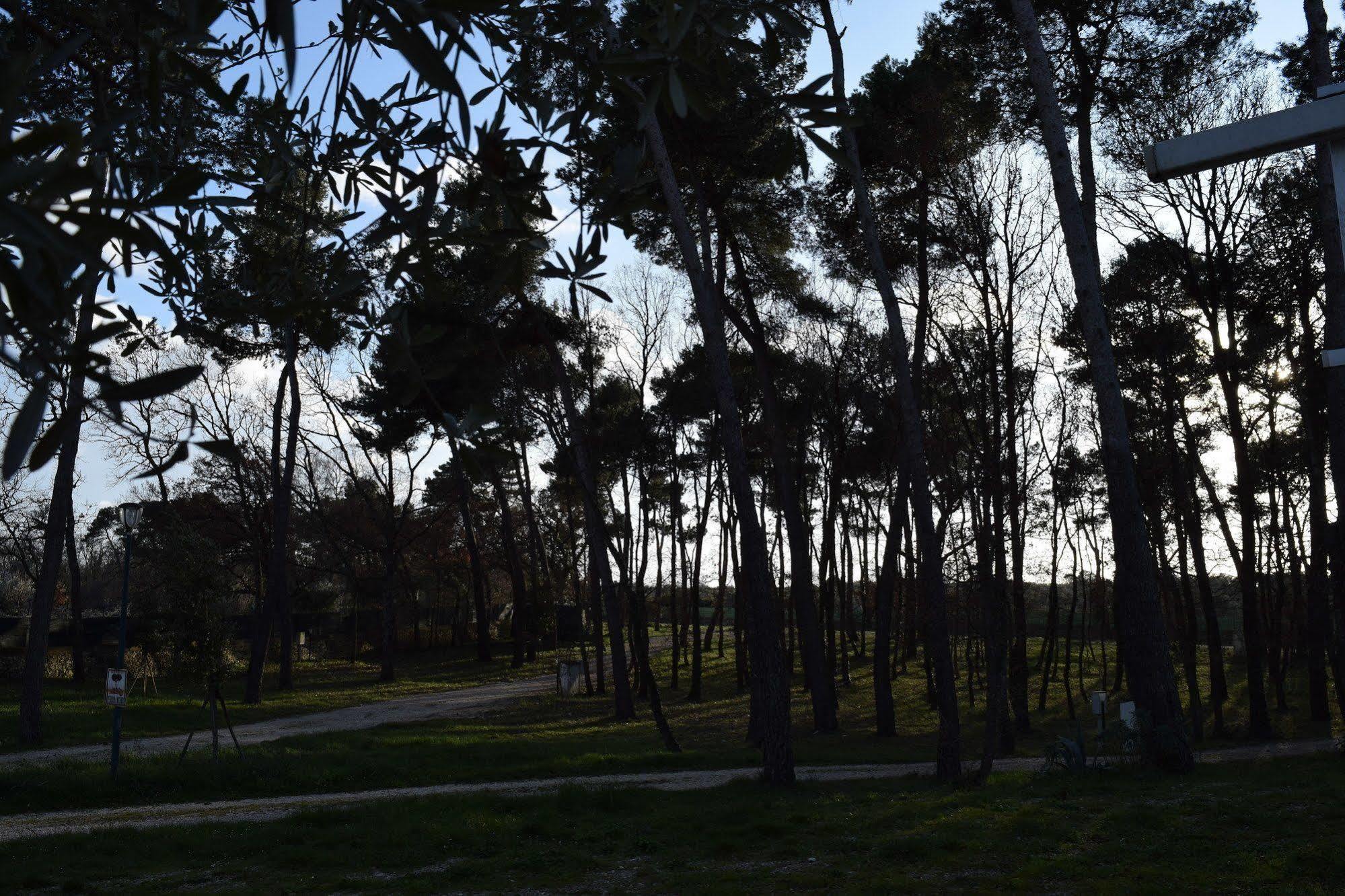Villaggio Camping Bosco Selva Alberobello Exterior foto
